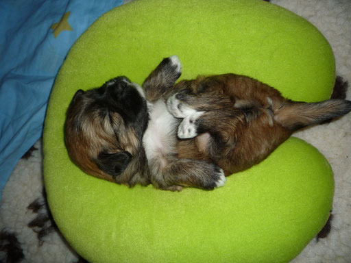 ... Entspannung pur ... 3 Wo