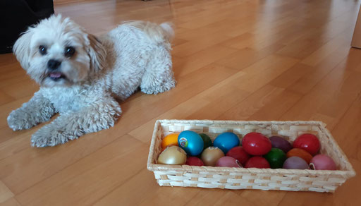 ... Ostern 2019 ... 5,3J