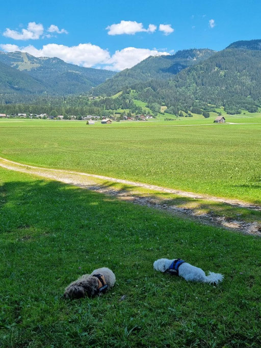 ... herrlich, dieser Ausblick ... 9,11J
