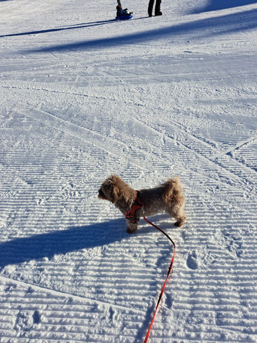 ... überall Schnee ... 7,4J