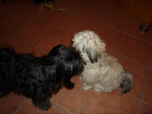 ... juhuu ... meine Mama Hannah ist zu Besuch ... 6,5 Mo