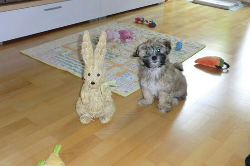 ... der Osterhase war da ... 13,5 Wo