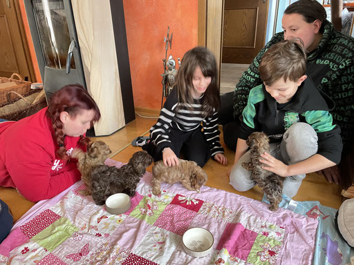 ... Familienglück ... 8W