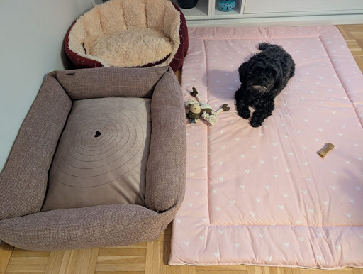 ... warte auf meine Prinzessin Pashenka vom Donautal ... 5,11J