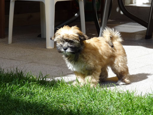 ... Prinzessin Dalyza ... 13,5 Wo