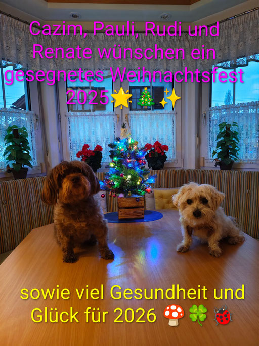 ... wir sind zwei Lauser ... 13,3J