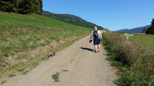 ... wandern in der Steiermark ... 2,1J