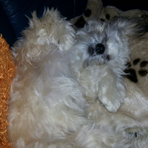 ... komm her ... kuscheln ... 7 Mo