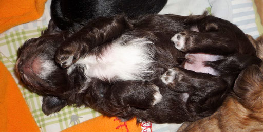... so lieg ich gut ... 4W