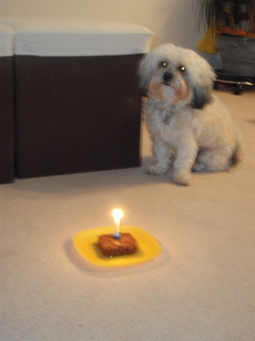 ... mein erster Geburtstag ... 12 Mo
