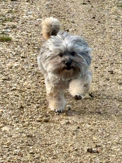 ... Leute, ich komme ... 10J