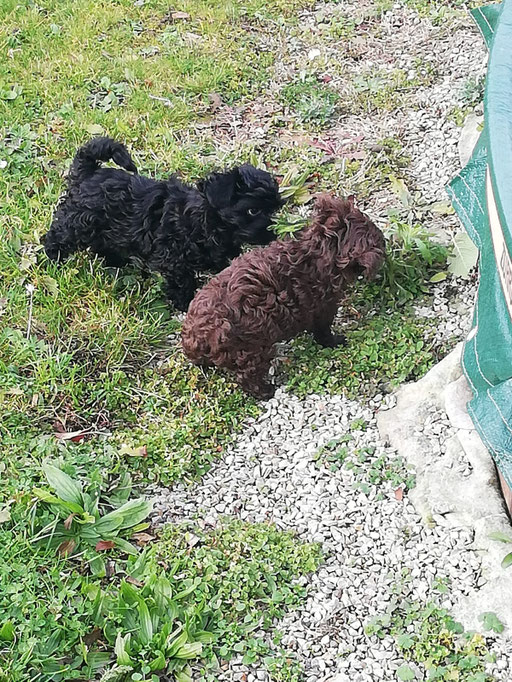 ... gemeinsam entdecken wir den Garten ... 10W