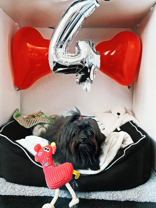 ... feier meinen 4. Geburtstag ... 4J