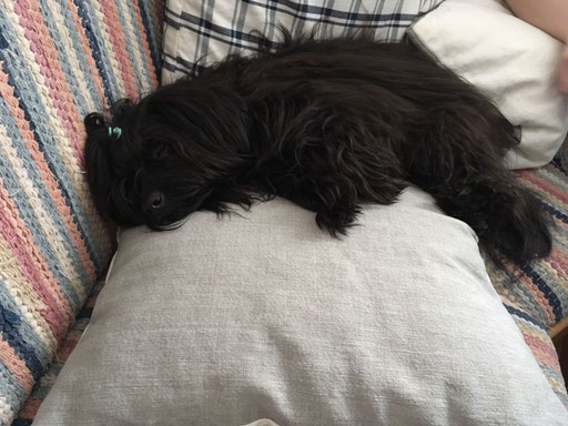 ... alles ur anstrengend ... 1,6J