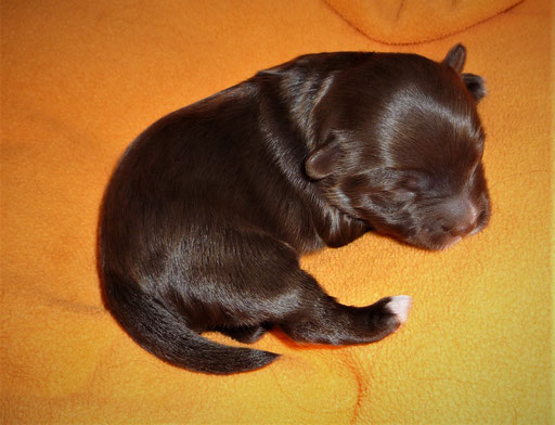 ... muss mal rasten ... 1W