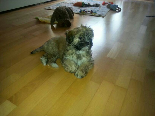 ... Prinzessin Dalyza ... 12 Wo
