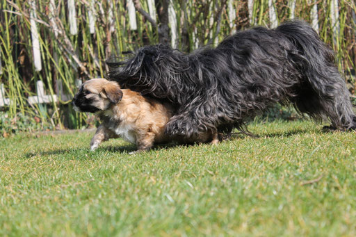 ... ich spiele mit Mama ... 7 Wo