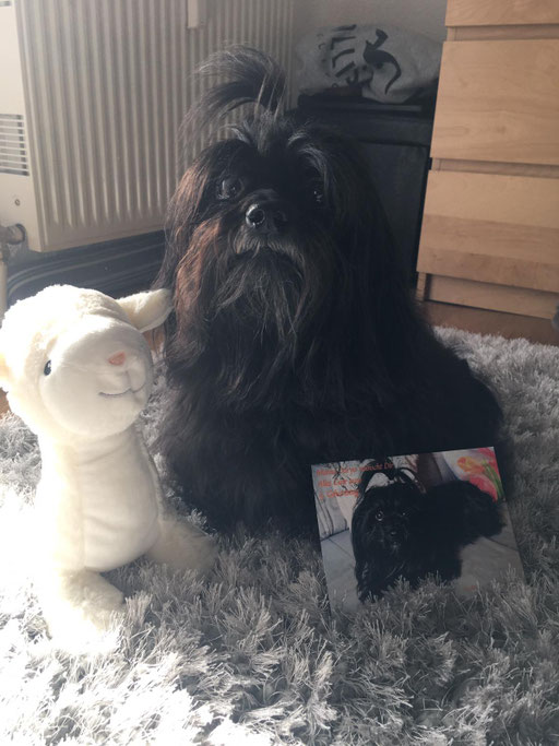 ... habe eine Geburtstagskarte von Mama Darya bekommen ... 5J