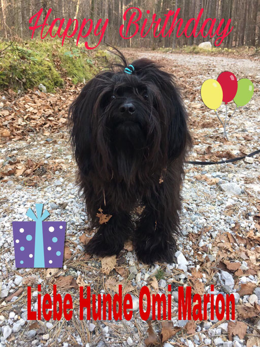 ... für meine Hunde-Omi ... 1,5J