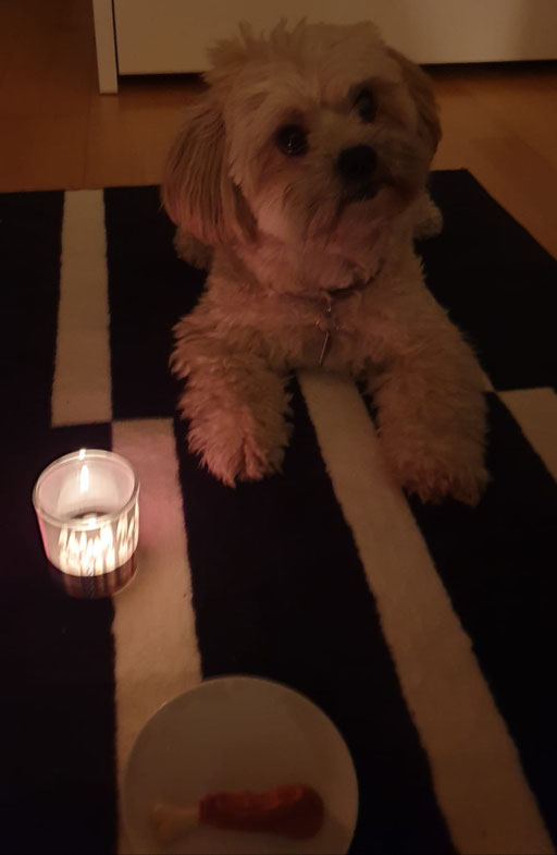 ... juhuu ... hab heute Geburtstag ... 6J