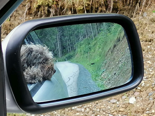 ... Autofahren ist cool ... 4,1J