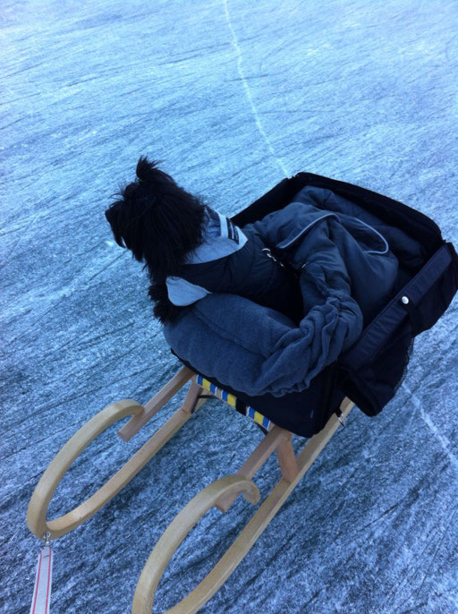 ... Eislaufen macht Spass ... 1,3J