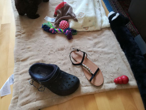 ... alles meine Beute ... 11W