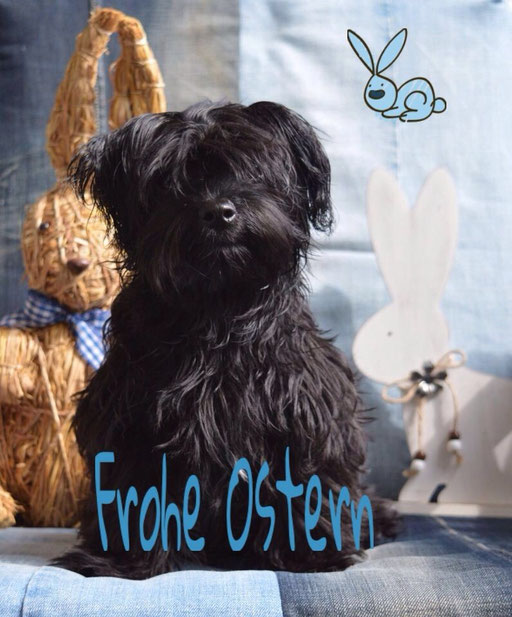 ... mein erstes Osterfest ... 5M