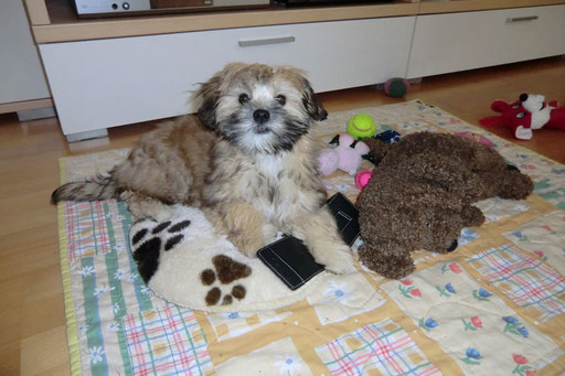 ... alles meins ... 4 Mo