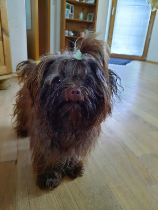 ... Prinzessin Lenya ... 10M