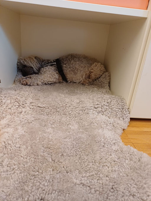 ... "Büroschlaf" ... 14,4J