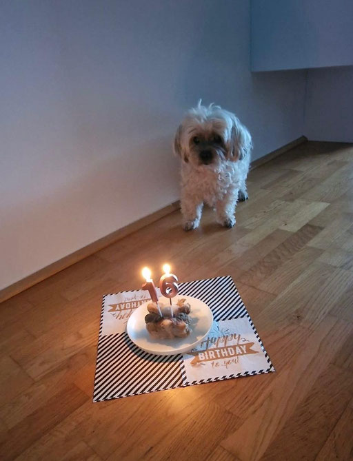 ... meine Geburtstagstorte ... 16J