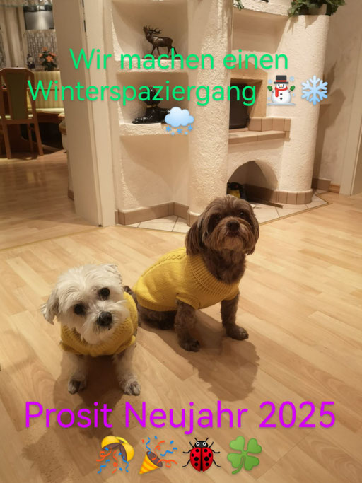 ... gleich geht´s los ... 12,3J