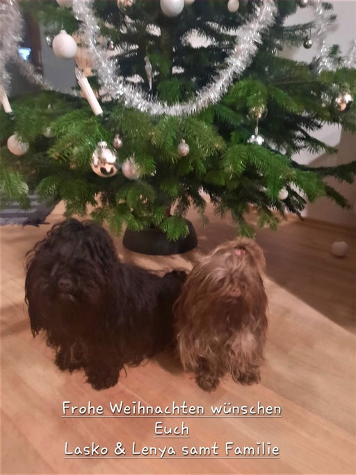 ... Frohe Weihnachten 2022 ... 2,3J
