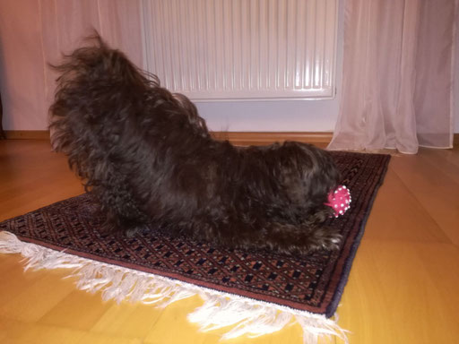 ... spiel ur gern mit meinem Ball ... 7M