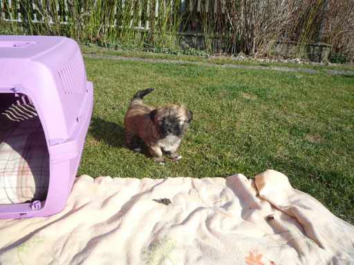 ... tobe durch den Garten ... 5,5 Wo