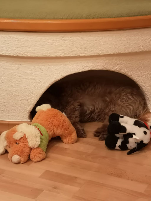 ... da ist er ja ... 7J