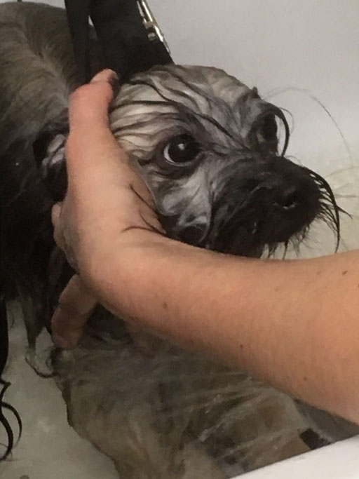 ... Baden find ich "doof" ... 7M
