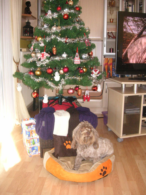 ... Weihnachten 2015 ... 3,3J
