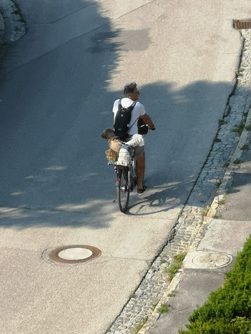 ... so macht Rad fahren Spaß ... 9,11J