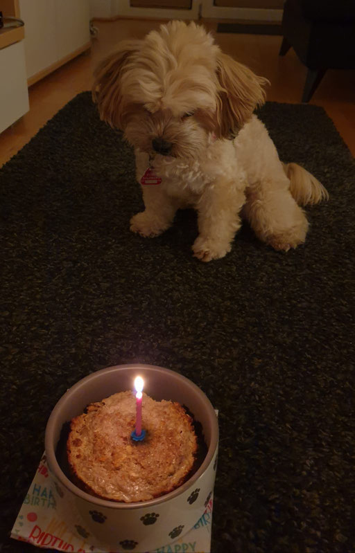 ... bin schon 7 Jahre alt ... 7J