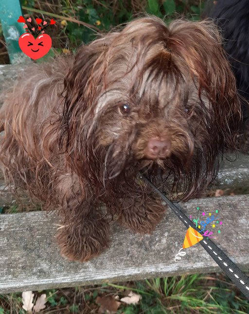 ... bin heute schon 1 Jahr alt ... 1J