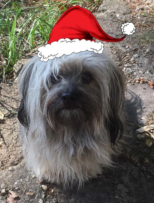 ... Weihnachten 2018 ... 3,2J