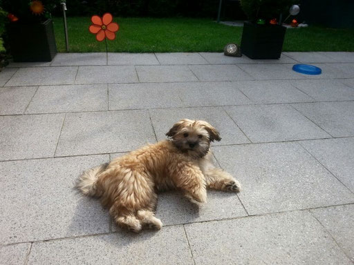 ... genieße das schöne Wochenende ... 4,5 Mo