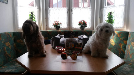 ... Hunde-Party 2014 ... bin schon 2 Jahre alt
