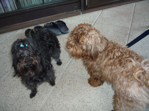 ... bin ur aufgeregt ... Mama Hannah ist zu Besuch 9Mo