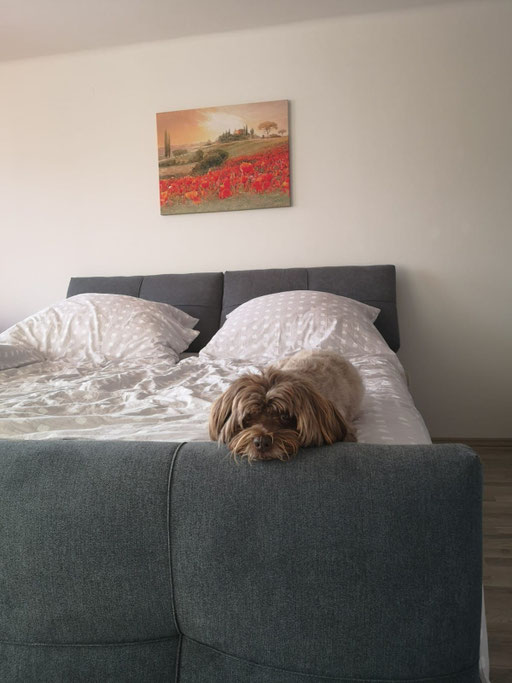 ... mein Kuschelbett ... 10,3J