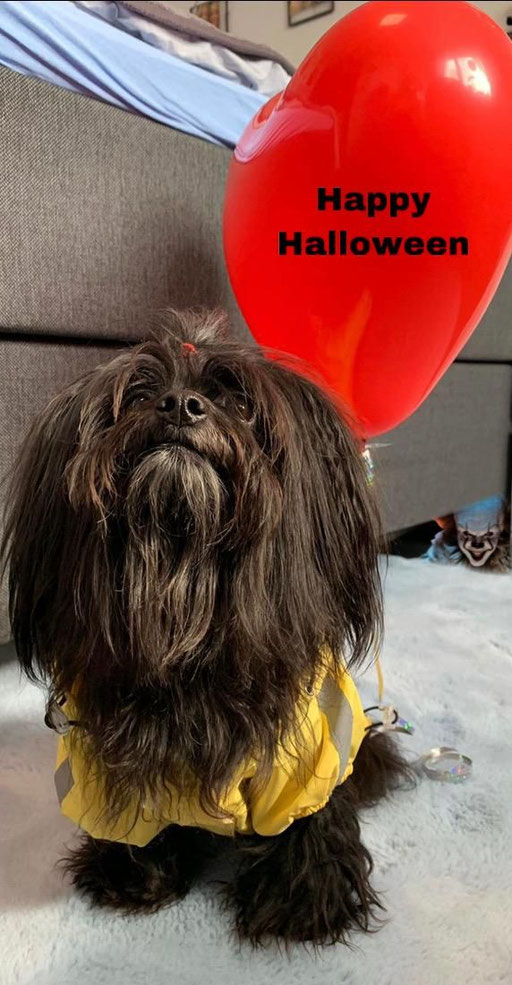... Halloween 2021 ... 6J