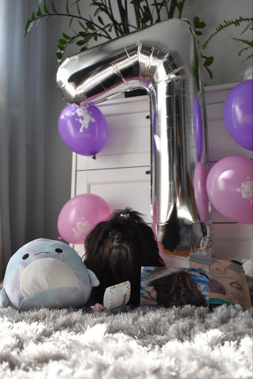 ... juhuuu ... hab heute Geburtstag ... 7J