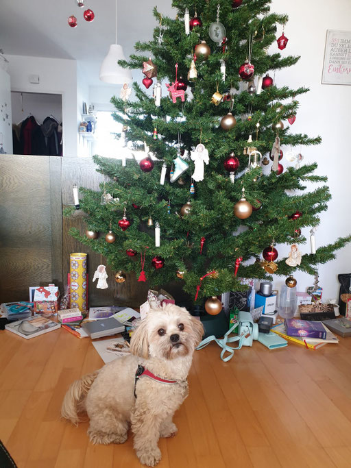 ... Weihnachten 2019 ... 5,11J